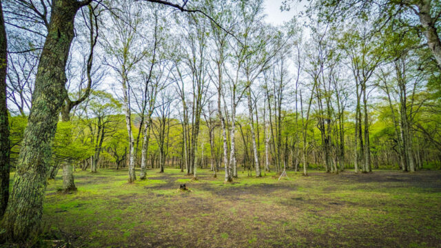 撮影者:聖人 撮影者:聖人