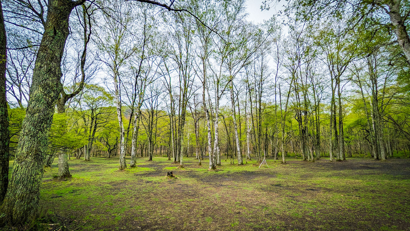 第1回 ILKO CREATIVE CAMP イベントレポート